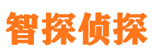 建华市私家侦探